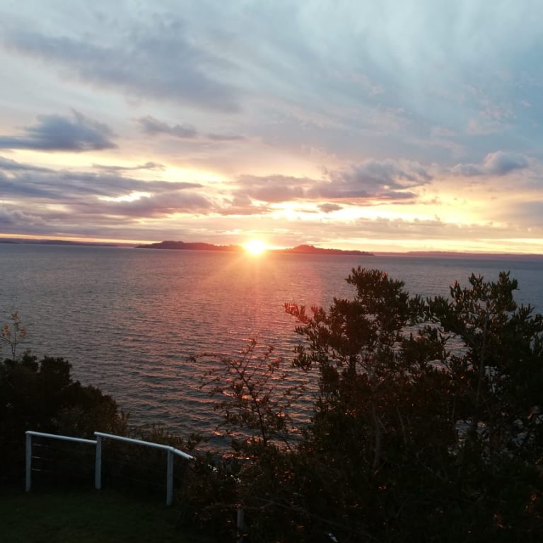 IMG-20220313-WA0067